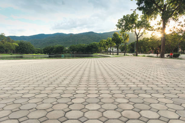 Best Professional Driveway Pavers  in Silsbee, TX